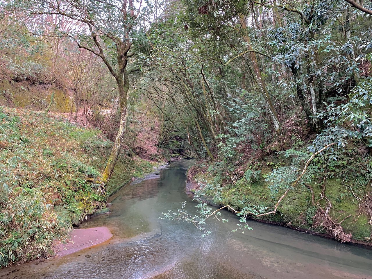 💧 오데미즈 용천수(오데미즈노유스이) 이미지 9